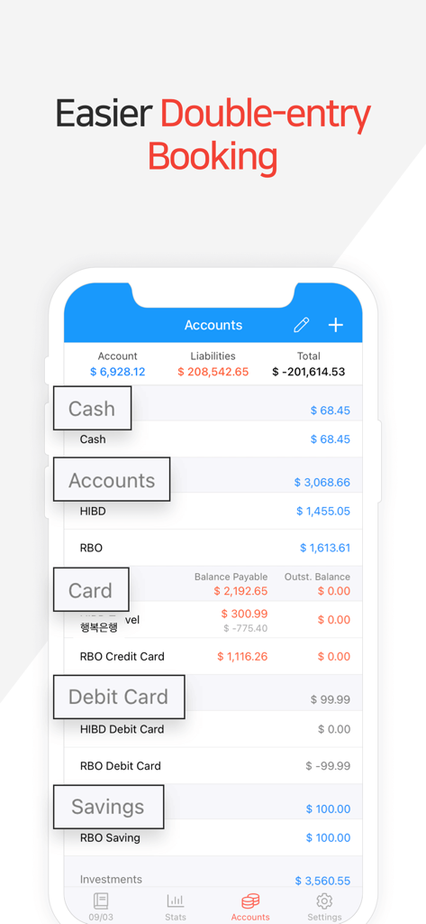 Money Manager app interface showing account summaries for cash cards and savings with a double entry bookkeeping header
