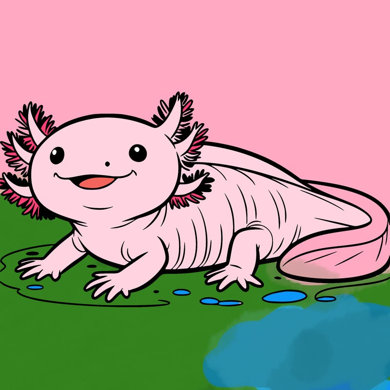 axolotl