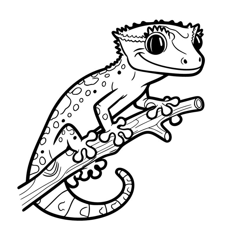 crested gecko on a stick