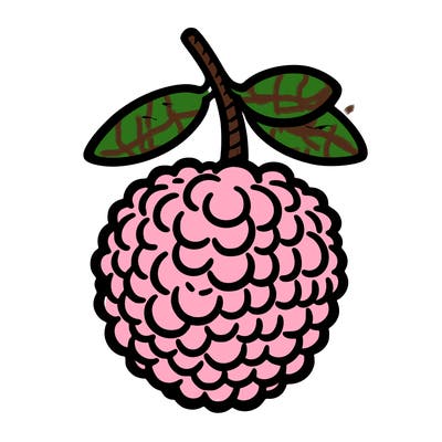 a drawn lychee