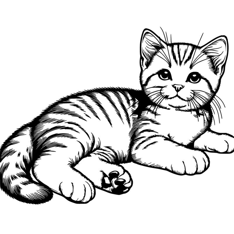 a realistic kitten laying down