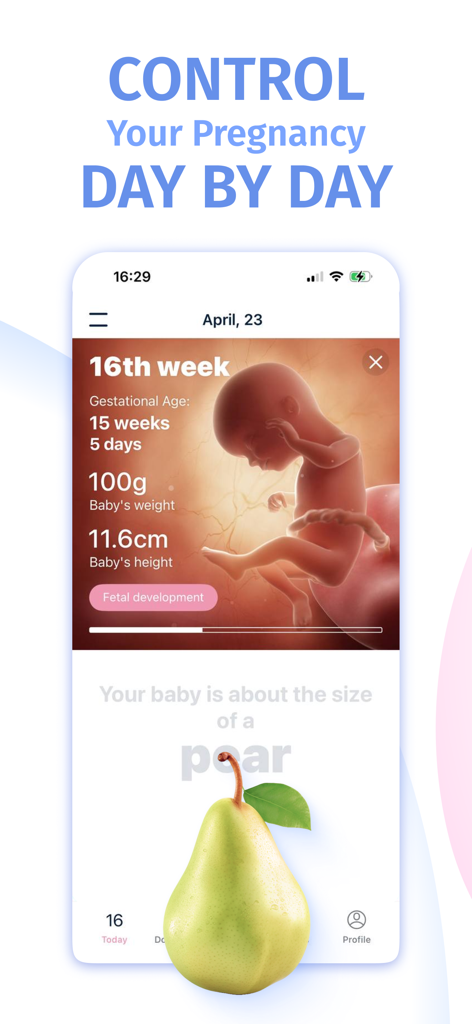 Stork pregnancy tracker app displaying week sixteen fetal development and baby size comparison to a pear