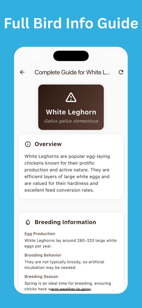 Chicken Identifier: AI Scan - A mobile screen showing a detailed breed info guide for a White Leghorn chicken including overview and breeding information