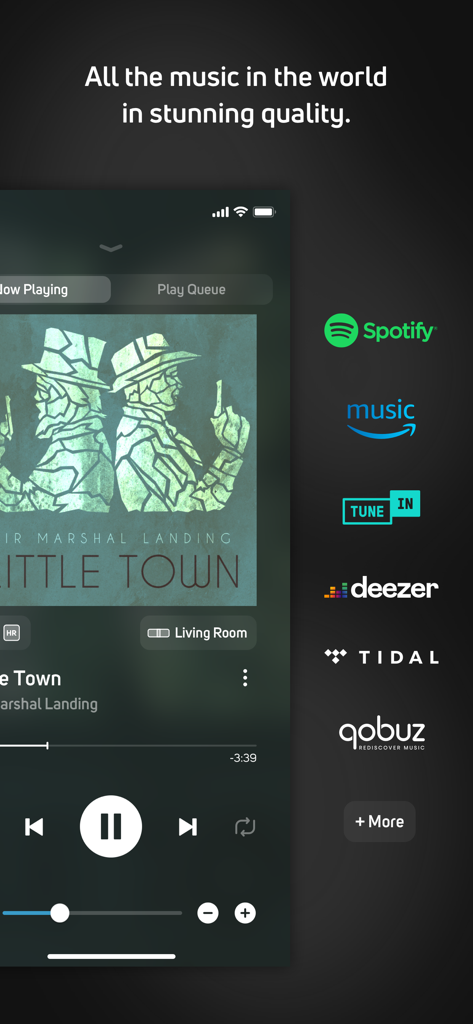 BluOS Controller mobile app screen showing music playback and various streaming service icons