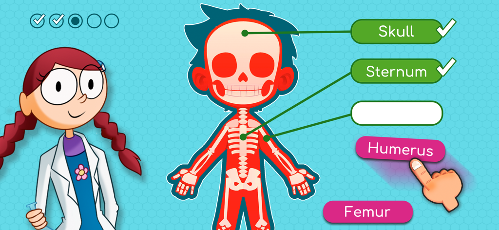 Human Body: STEM Science Games - Educational interface showing a musculoskeletal system quiz in the Human Body STEM science game