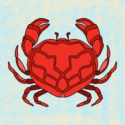 animals_16