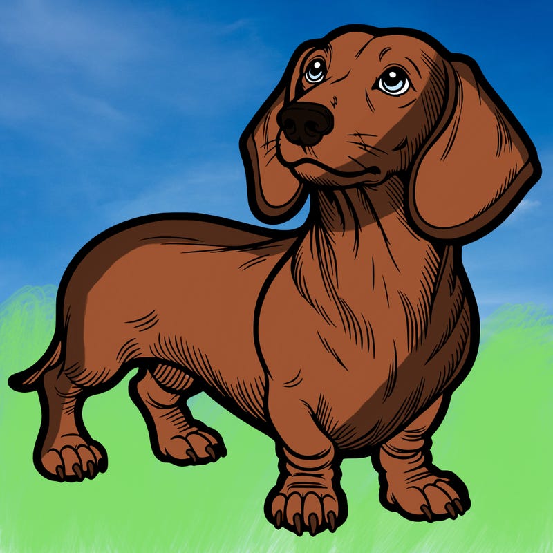 dachshund
