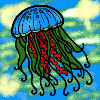 jellyfish