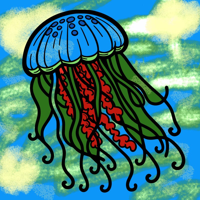 jellyfish
