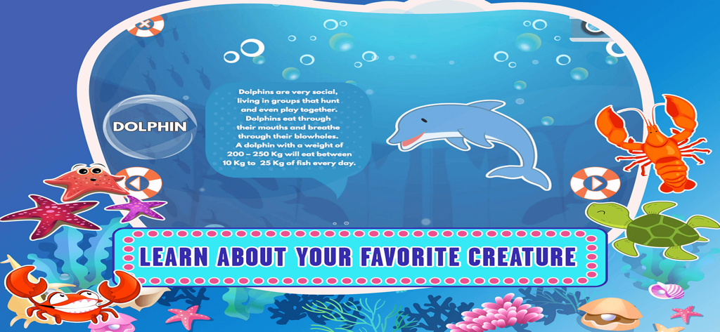 Sea Animal Games For Kids Apps - Educational screen showing dolphin facts and various cartoon sea animals in an underwater setting