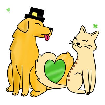 animals_22