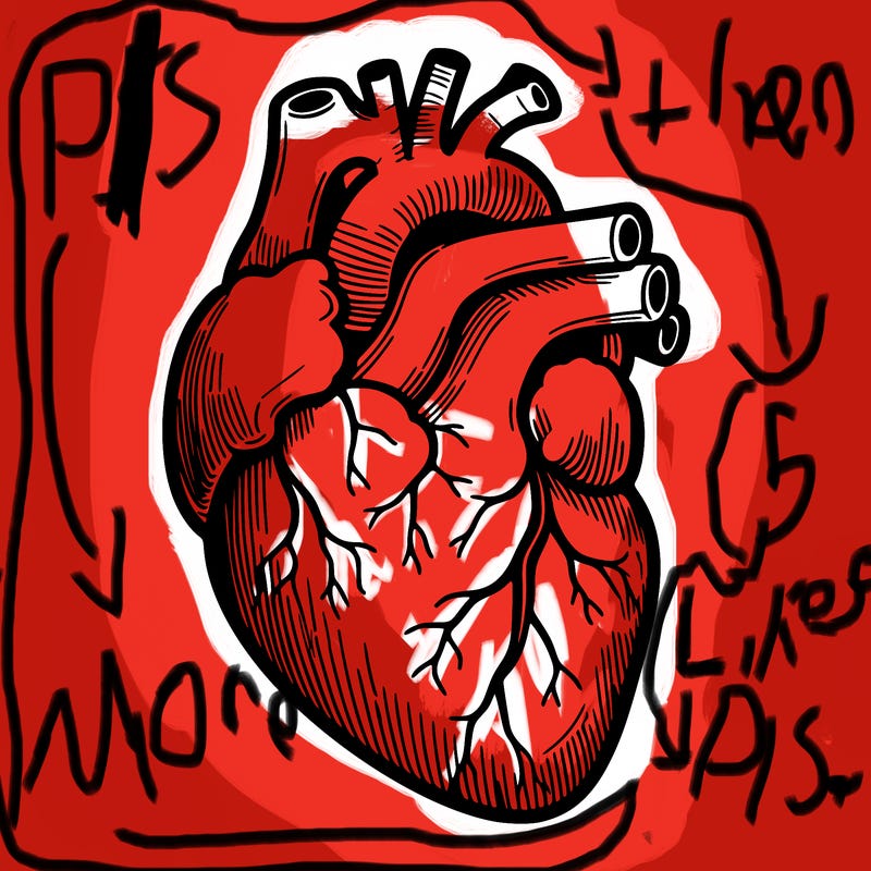 a realistic human heart