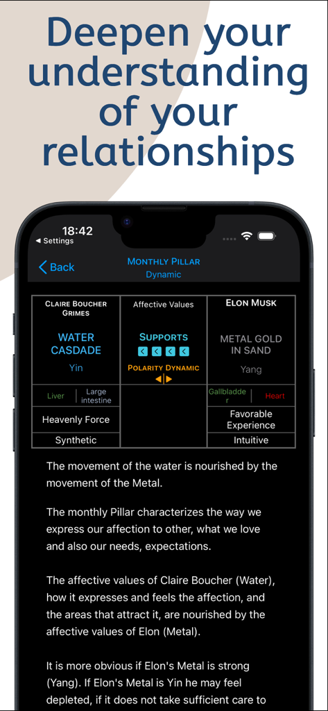 Pillars of Destiny - A detailed relationship compatibility report in the Pillars of Destiny app comparing Chinese astrology elements between two people.