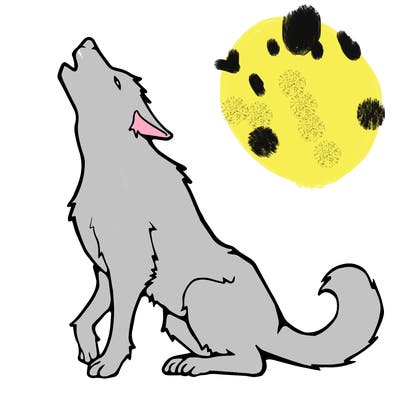 animals_36
