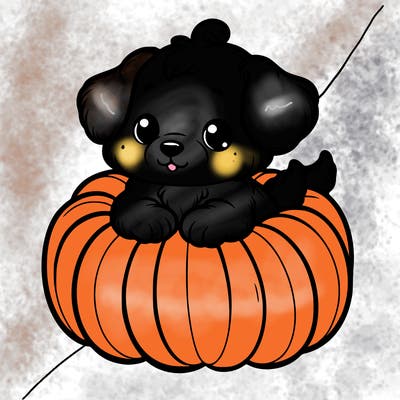 cute little puppy in a pumpkin