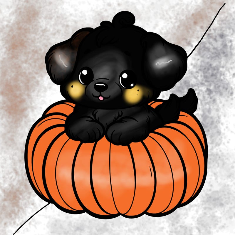 cute little puppy in a pumpkin