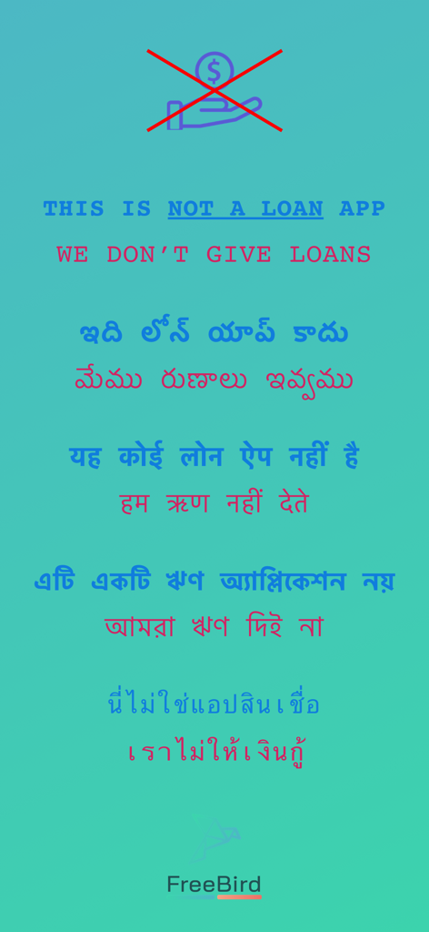 Disclaimer screen in the Freebird app clarifying that it is a debt management tool and does not provide loans