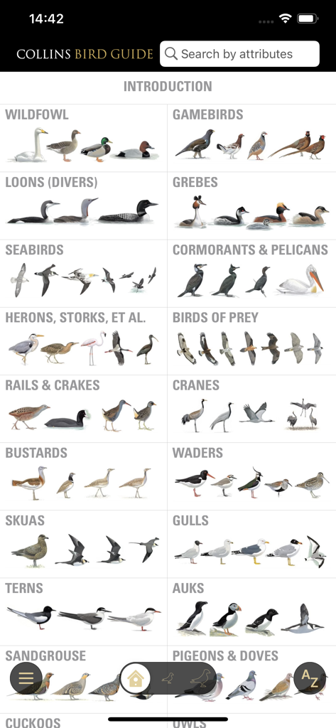 Schermata di panoramica delle categorie di specie nell'app Collins Bird Guide che mostra illustrazioni di vari gruppi di specie come acquatici e rapaci