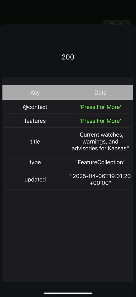 Developer-Tools - Mobile interface showing a successful HTTP 200 status code and formatted JSON data in a table.