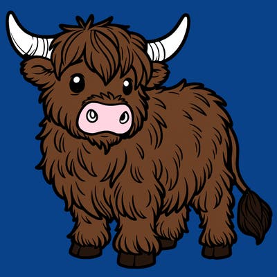 highland cow
