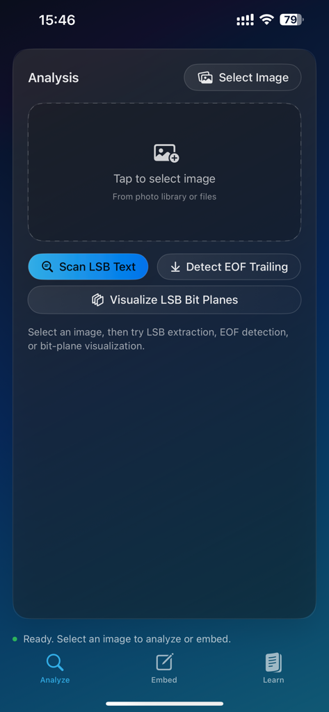 StegInsight - StegInsight app analysis screen showing image scanning and visualization tools