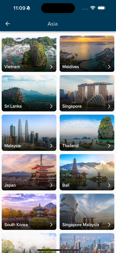 Flamingo Travels - A grid display of various Asian travel destinations like Vietnam, Maldives, and Singapore in the Flamingo Travels app.