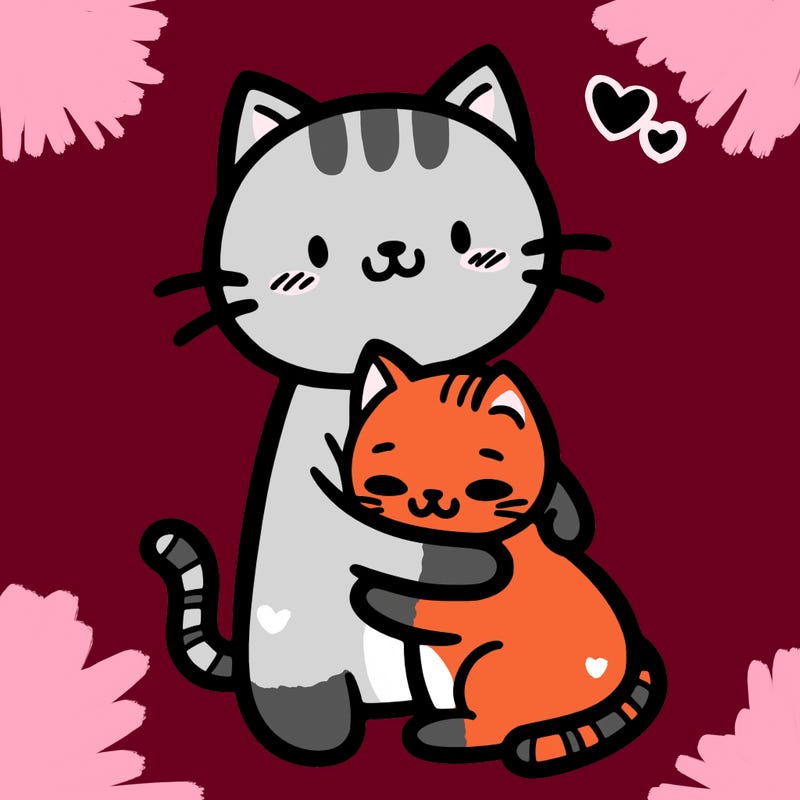 cat hugging a cat