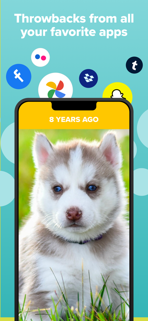 A screenshot of the Timehop app showing a puppy photo from eight years ago with icons of connected social media platforms like Facebook and Google Photos.