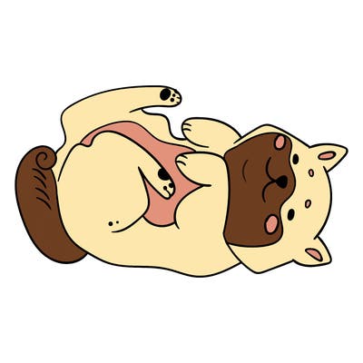 animals_30