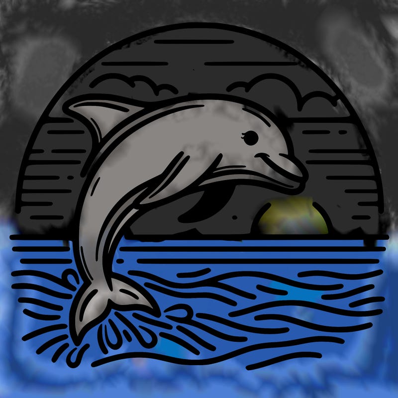 dolphin in a sunset