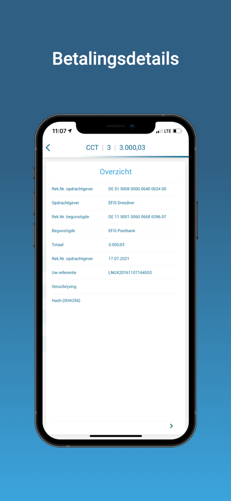 DFM e-Sign Mobile App zeigt Transaktionsübersicht und Zahlungsdetails für Unternehmensfinanzen an
