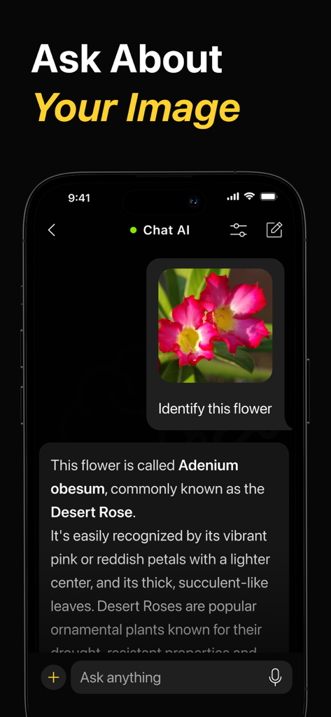 Chat AI Plus - Interfaz de la aplicación Chat AI Plus que muestra la identificación visual de una flor Rosa del Desierto a partir de una foto cargada