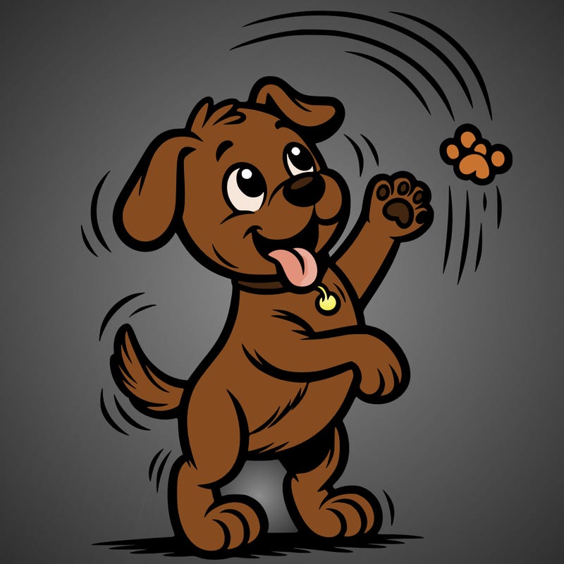 dog throwing up in the air