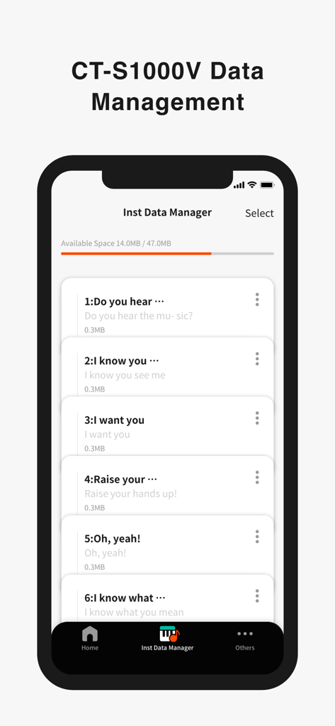 Lyric Creator - Interfaz de la aplicación Lyric Creator mostrando el Gestor de Datos de Instrumentos con una lista de archivos de letras guardados para un teclado Casio