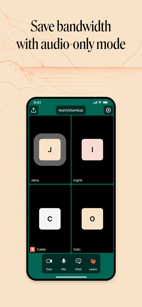 Oberfläche der Whereby-App, die den Nur-Audio-Modus für ein Team-Meeting zeigt