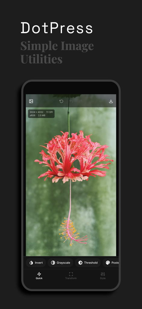 DotPress - Interface de l'application DotPress montrant une photo de fleur rouge en cours d'édition avec des outils utilitaires