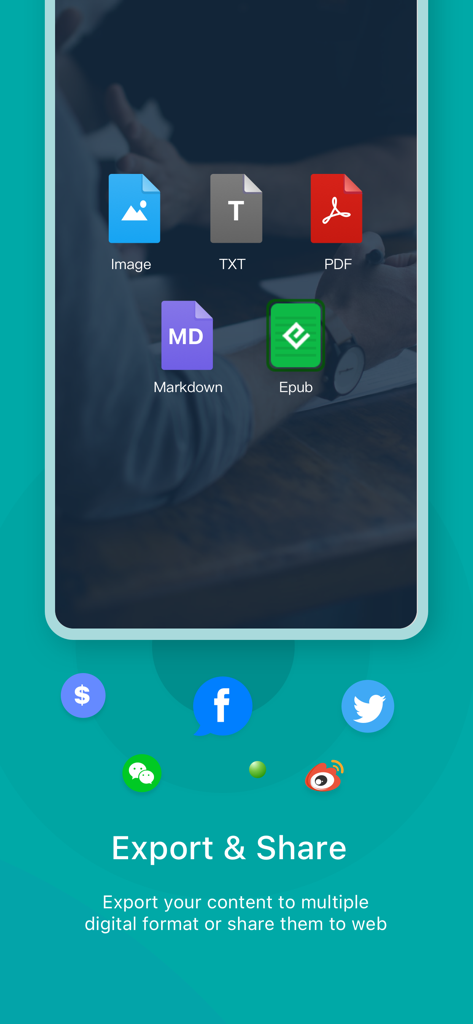 Schermata di esportazione e condivisione dell'app Zine che mostra formati di file come PDF, Immagine ed Epub, oltre a icone di social media.