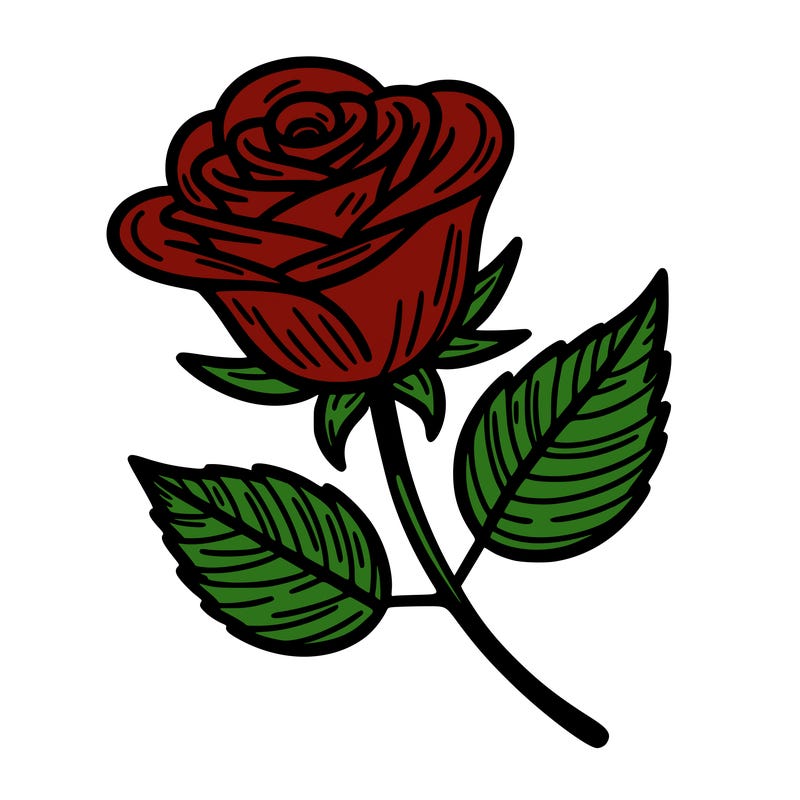 a single rose