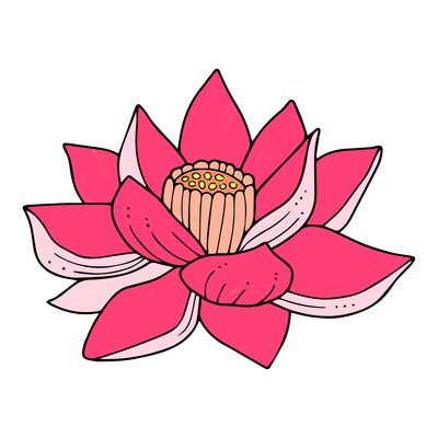 flowers_08