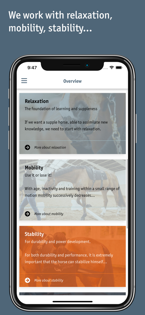 Equibodybalance - Equibodybalance app interface showing horse training categories for relaxation mobility and stability.
