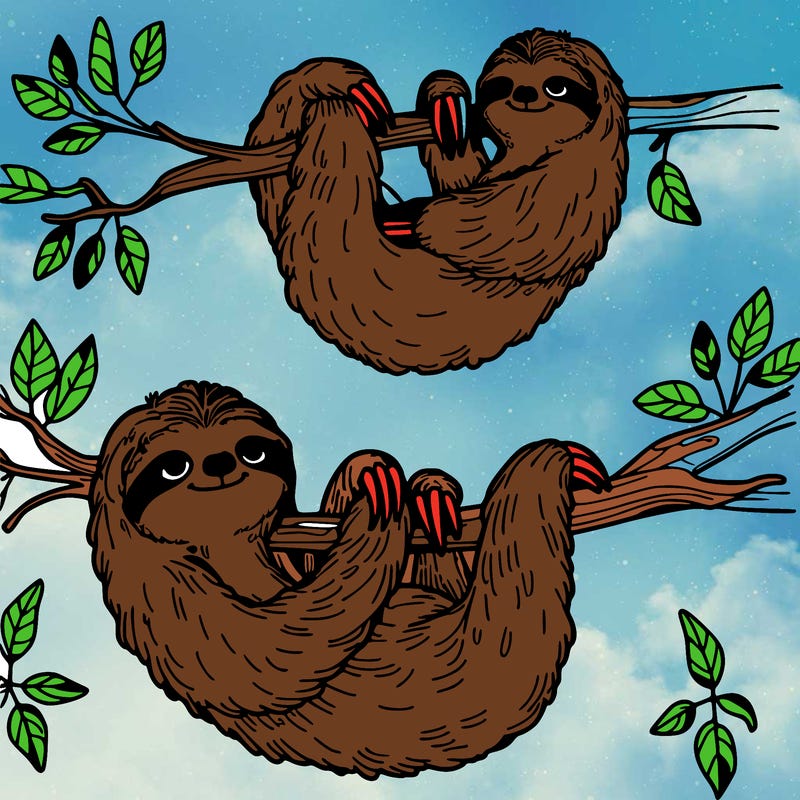 sloths