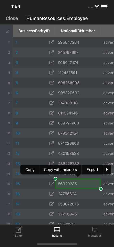 SQL Server results table view showing options to copy or export specific database records