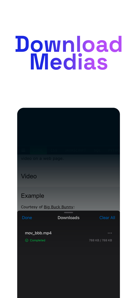 Vortex Browser: VPN Browser - Vortex Browser media download manager showing a completed video file download
