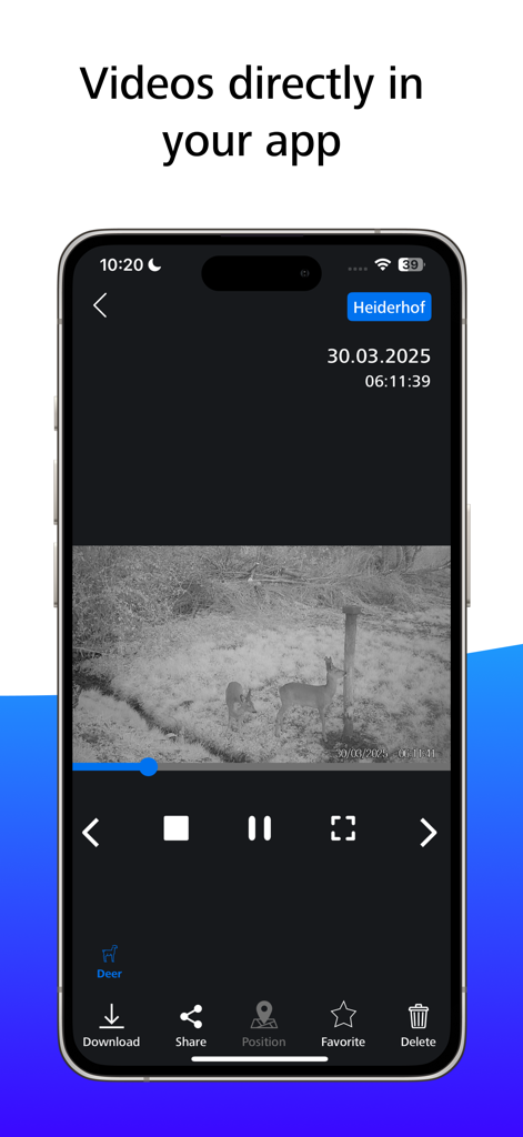 ZEISS Secacam - Écran de smartphone affichant une vidéo de cerfs en vision nocturne dans l'interface de l'application ZEISS Secacam.