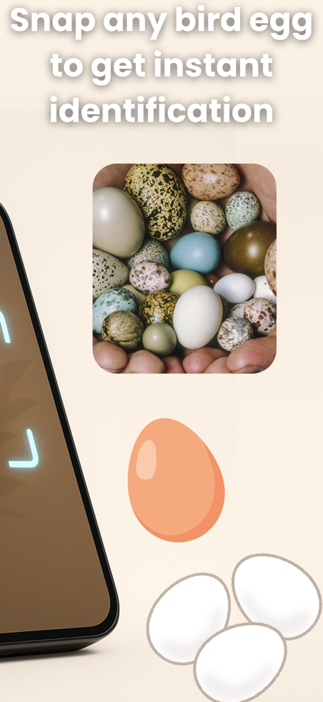 Bird Egg Identifier: AI Scan - A smartphone using AI to scan and identify different types of bird eggs