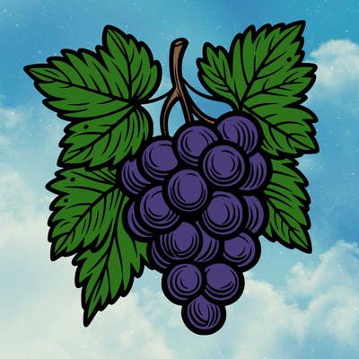 grapes