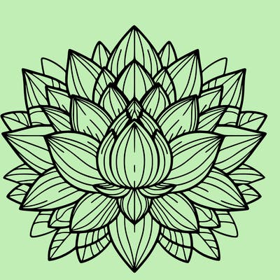 lotus flower mandala
