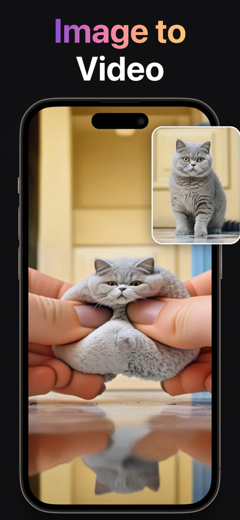 AI Video Generator + Creator - A mobile screen showing the image to video feature where a static cat photo is transformed into a creative animation