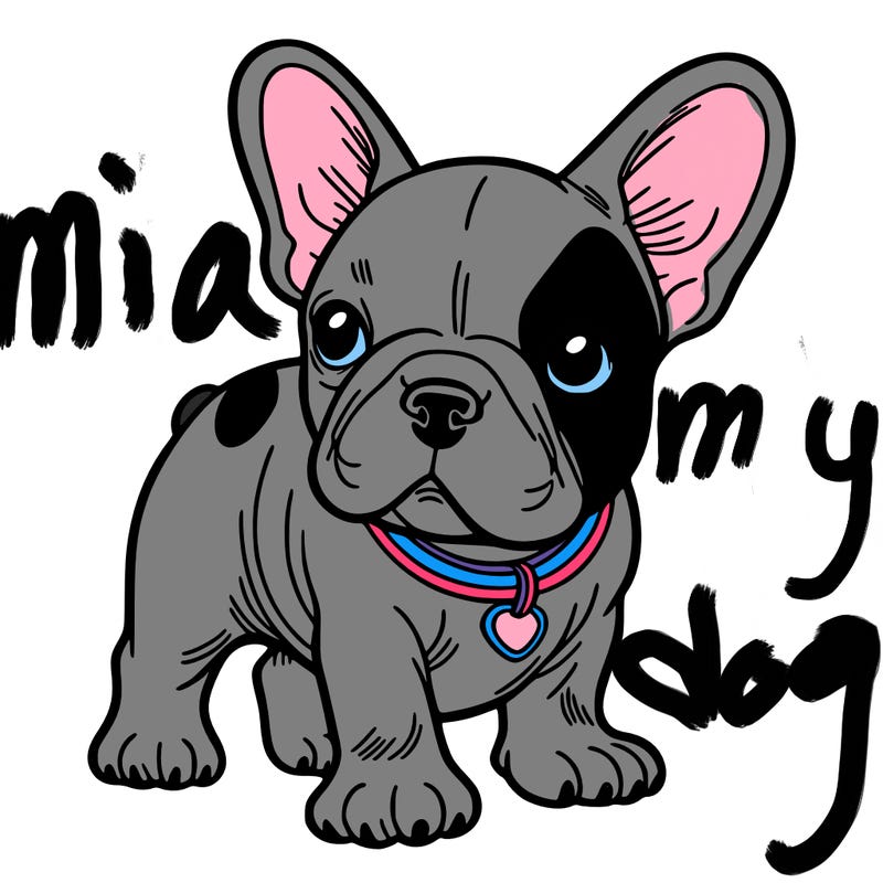 french bulldog