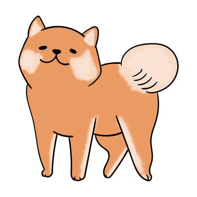 animals_29